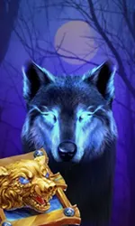 Book Of The Night Wolf